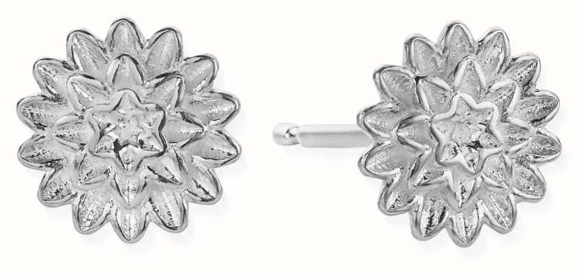 ChloBo Botanical Beauty Stud Earrings | Sterling Silver SEST3298
